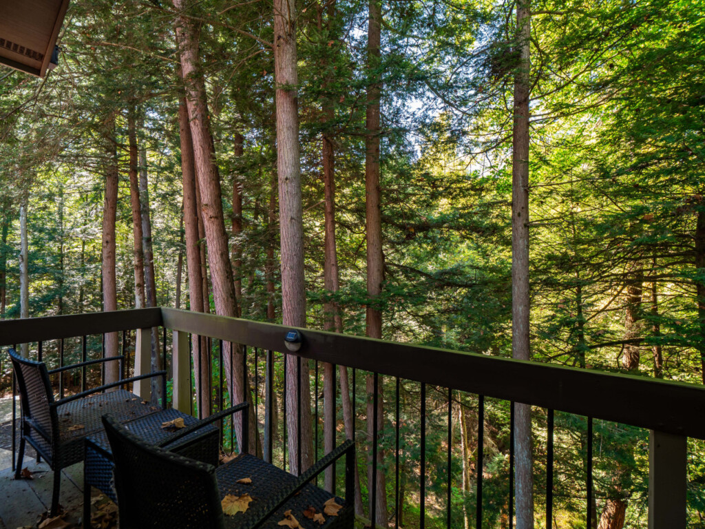 57883 433645 MFZxHvkxk5UxUujmQxFCc5 WBsP9yxPoMEit3Z6RgtY 68e6cdaa2e114.jpg