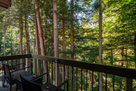 57883 433645 MFZxHvkxk5UxUujmQxFCc5 WBsP9yxPoMEit3Z6RgtY 68e6cdaa2e114.jpg