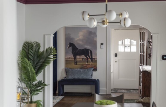 060b6024 fbfc 49 0ZNr .jpg