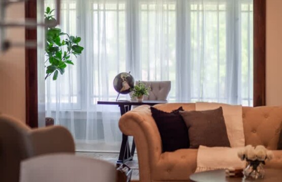 0e3e8bd4 33d4 46 qwin .jpg