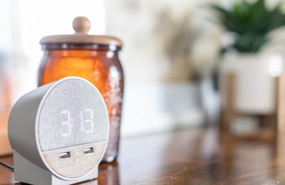 1889c1e4 50fe 43 Regi7.jpg