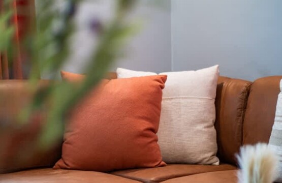 1a1f824e 3355 4b HE913.jpg