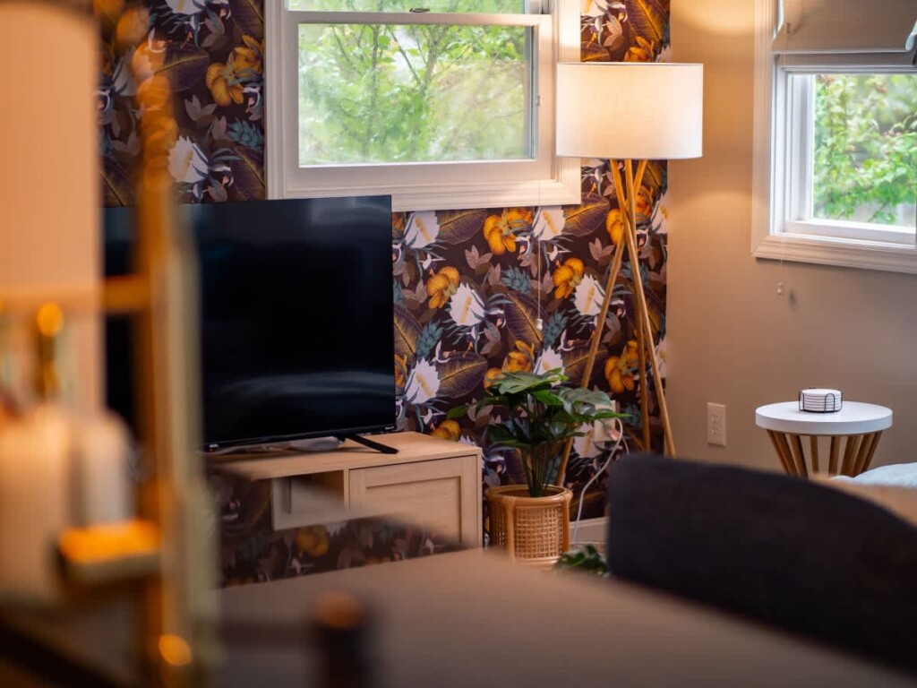 1c88333b aefd 4e DVBx .jpg