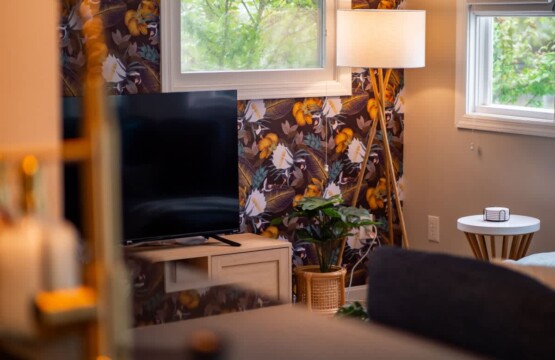 1c88333b aefd 4e DVBx .jpg