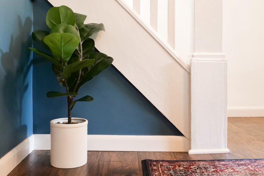 359e9bf4 b2e6 46 7T g6.jpg