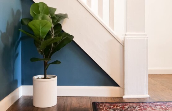 359e9bf4 b2e6 46 7T g6.jpg