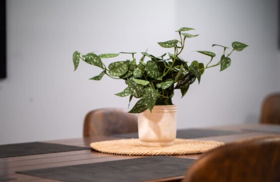 4c59a58e 29f8 46 Zkbwn.jpg