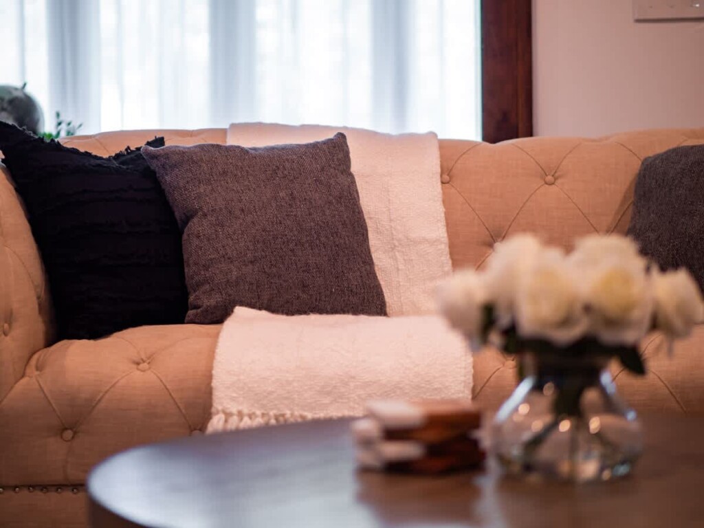 5cbfaa1d 848d 4e aXHvQ.jpg