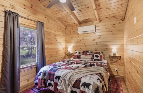 66d42709 9782 4c eNnVb.jpg