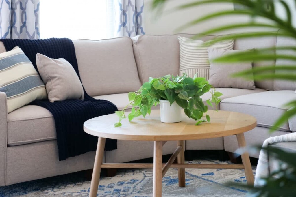 84878260 d9b9 41 J q8k.jpg