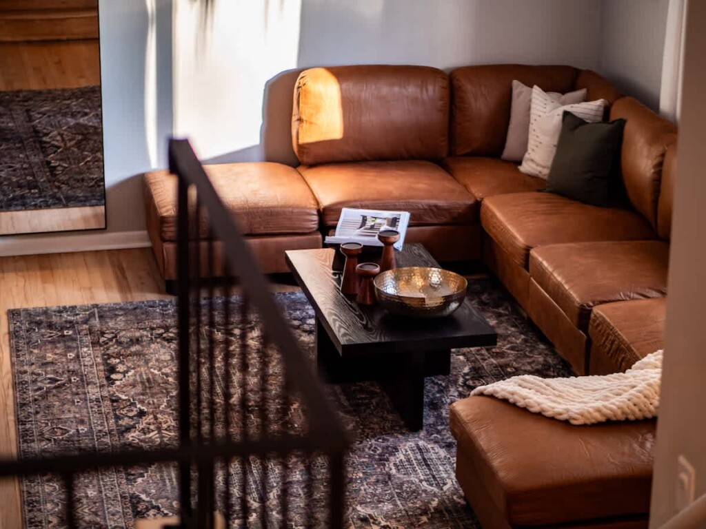 afacda36 0e01 44 zQxL7.jpg