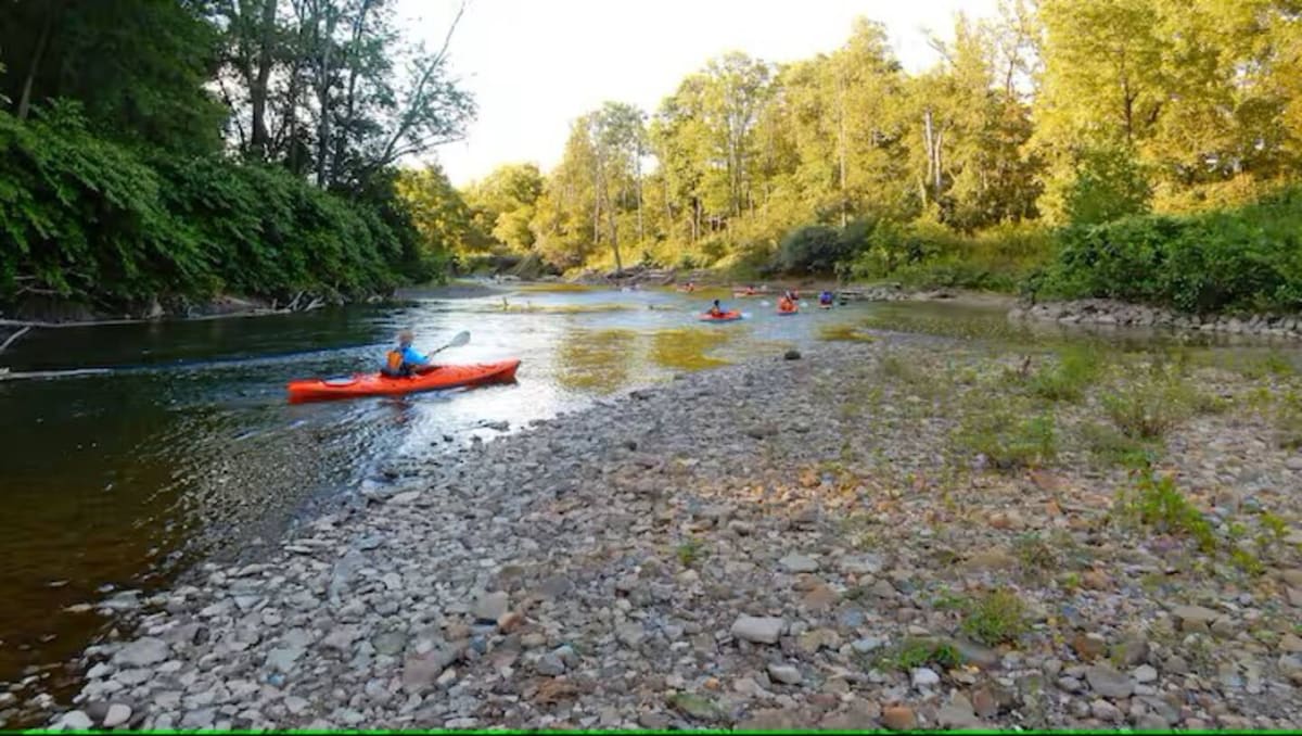 b1ca0570 b112 44 EfWkO.jpg