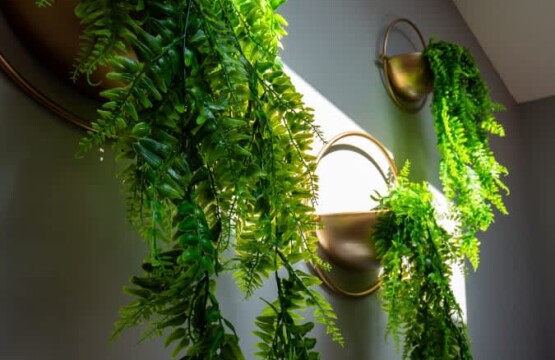 b6957572 3498 44 JKbS1.jpg