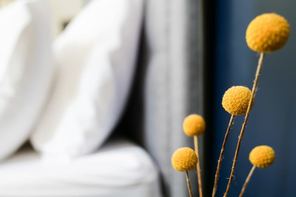 fc8a4343 8fe6 47 tG59n.jpg