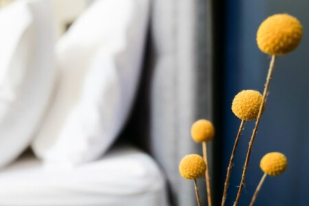 fc8a4343 8fe6 47 tG59n.jpg