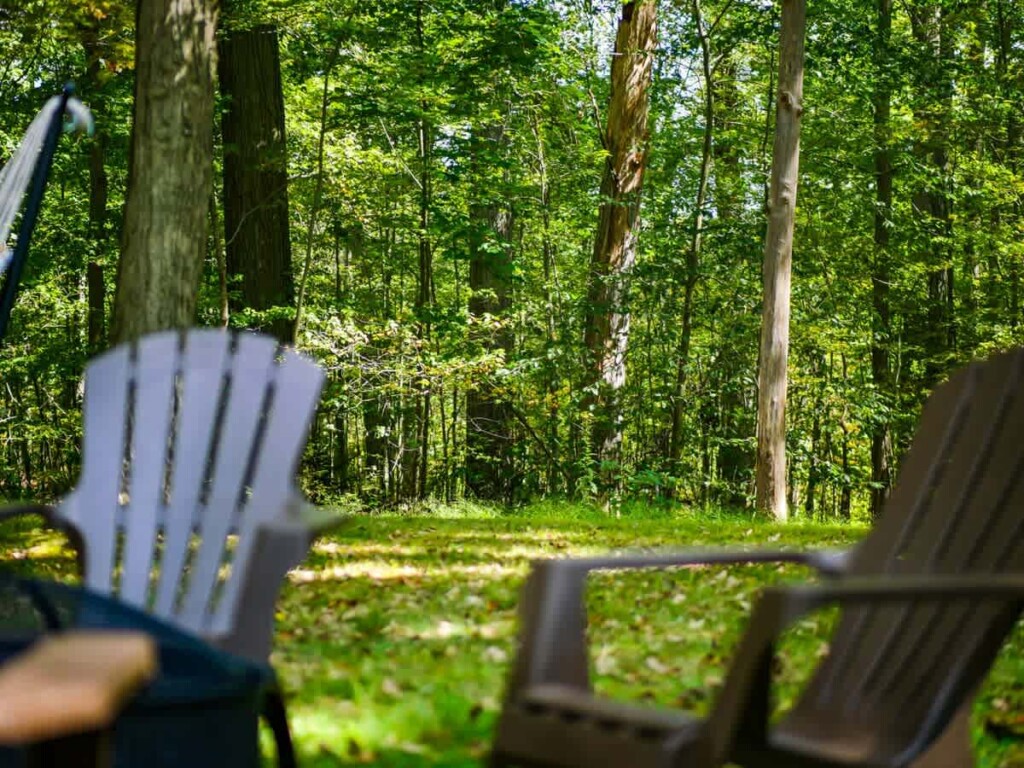 2c032426 cd29 49 sehcS