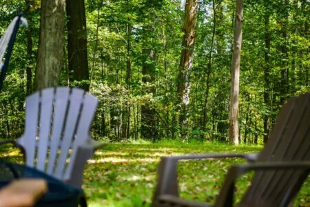 2c032426 cd29 49 sehcS