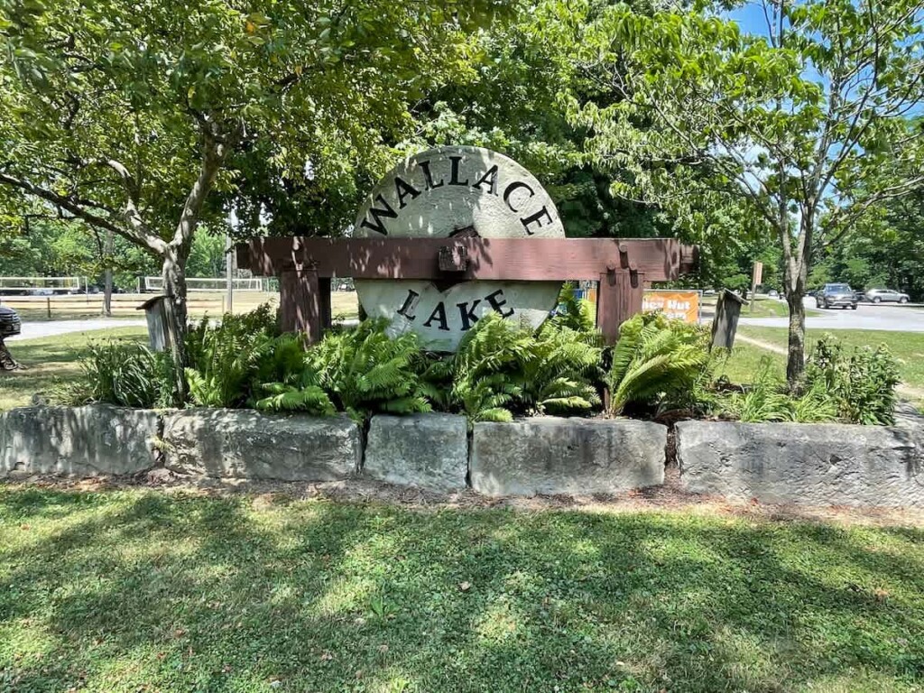 382ac2ce bad0 47 Us4PA