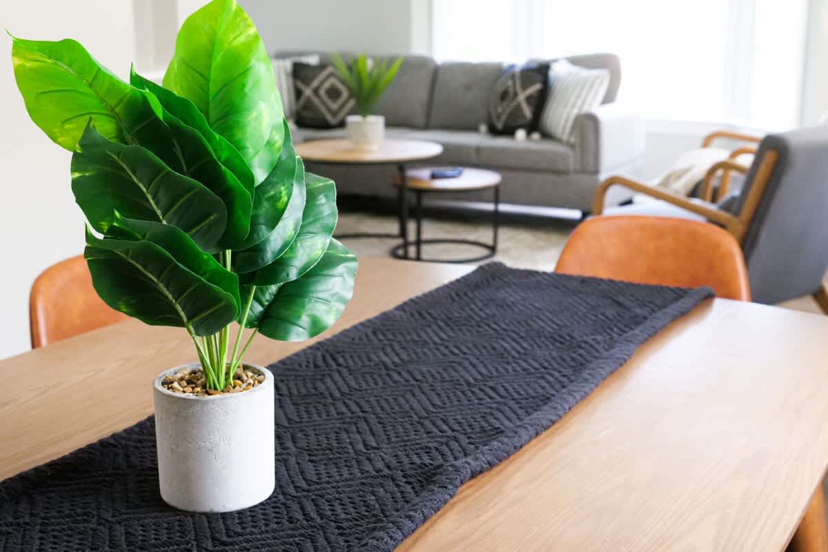 395989a0 ab7f 4c u7AK