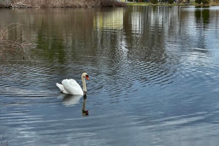 39663fe9 7615 4f 2GFyU