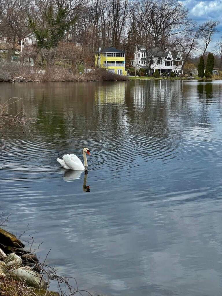 39663fe9 7615 4f 2GFyU