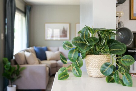 3aad7f4d 3c42 48 SCE8j