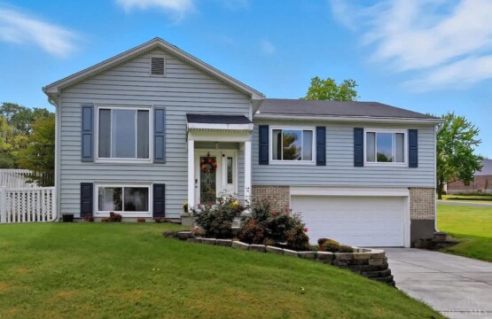 3e4ba121 01cb 44 NTP3D 1