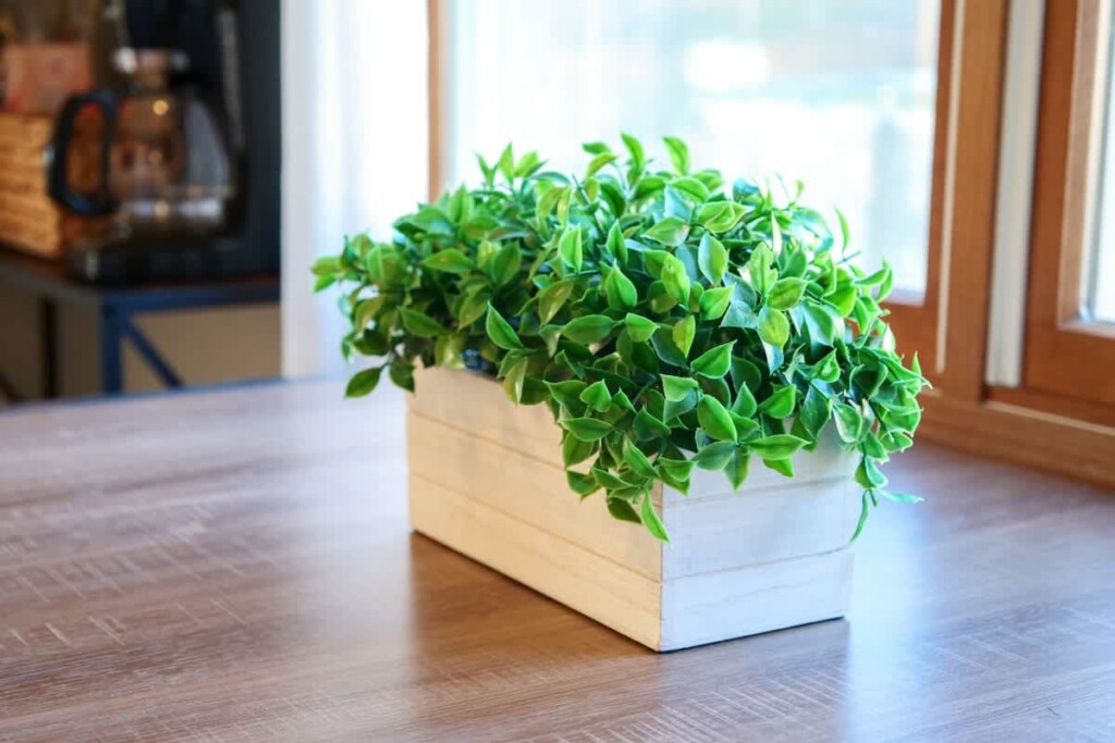 55b2ae78 0051 41 ldonO