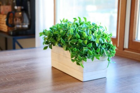 55b2ae78 0051 41 ldonO