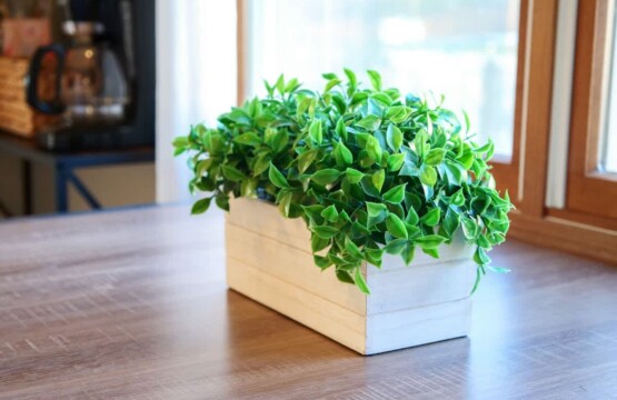 55b2ae78 0051 41 ldonO