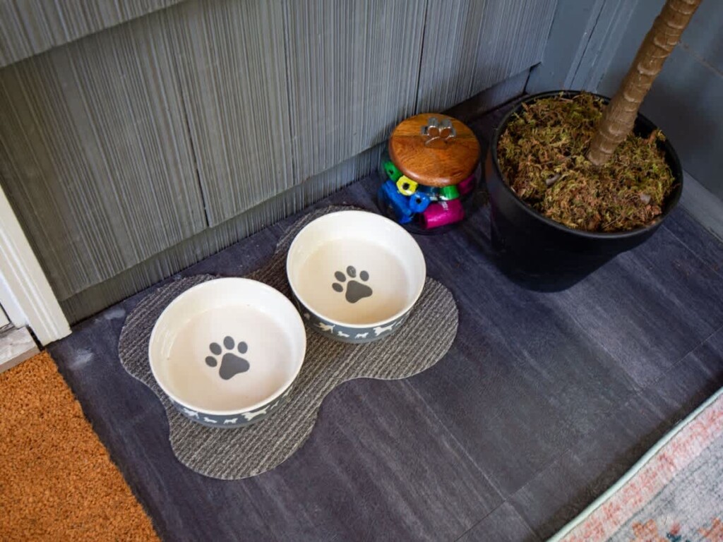 57e42018 025b 47 XkhYx