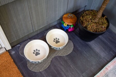 57e42018 025b 47 XkhYx