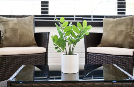 61b6dd7a e3e3 4a rELI6