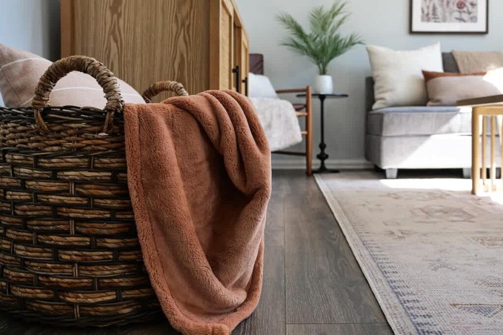 72dbd516 1ab1 41 JnsAC