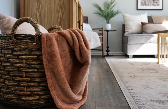 72dbd516 1ab1 41 JnsAC