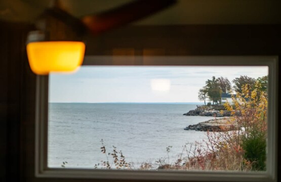 788d4927 ceb0 49 fME9u 1