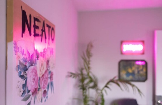 8507b80e 45cb 4e reK2h