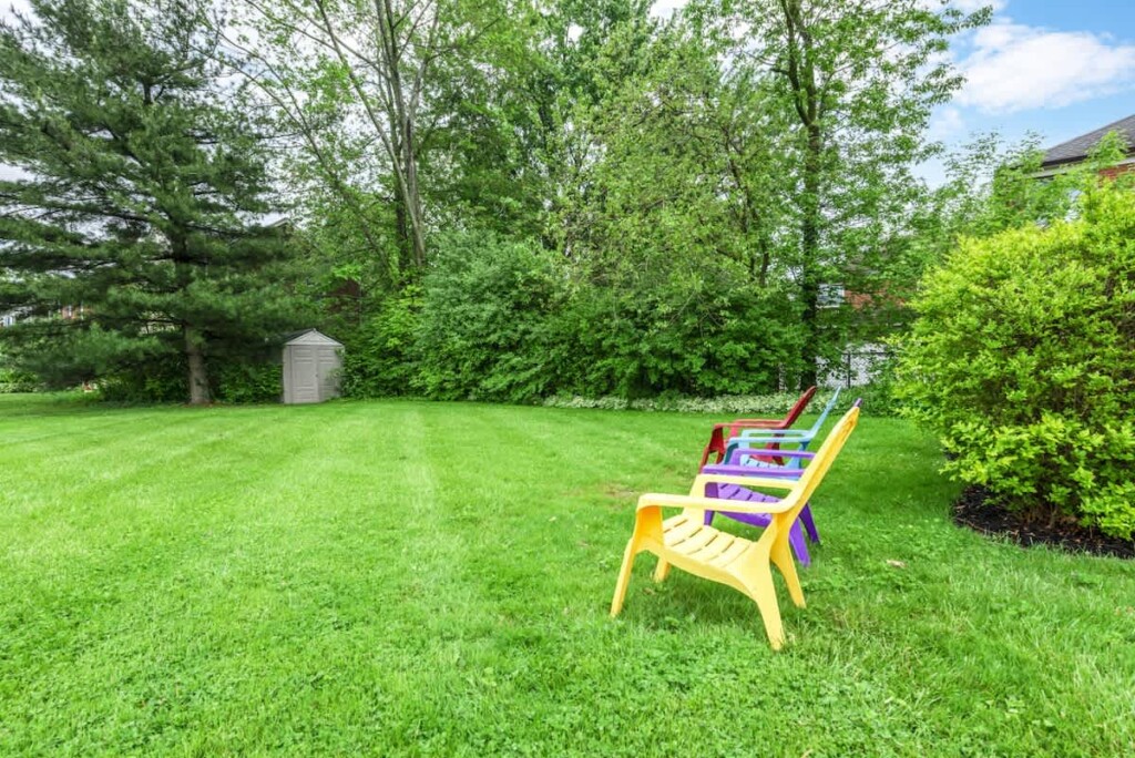 a03b8836 a6d7 4e LECIo