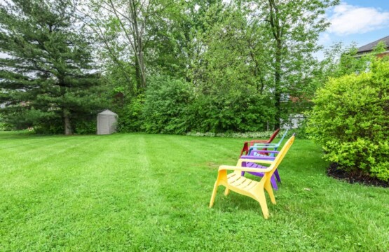 a03b8836 a6d7 4e LECIo