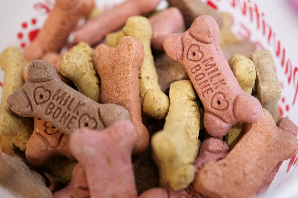 a14f40e6 b3cf 46 Pnopc 1