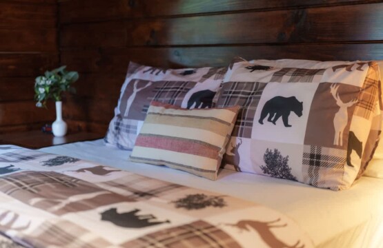 c0ccae15 d1ea 4d RDnly