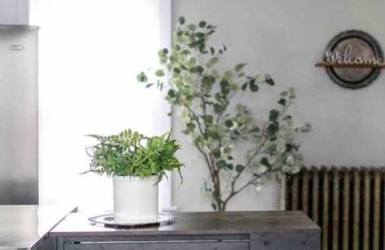 c3f6d24b c2d7 47 hNIca 1