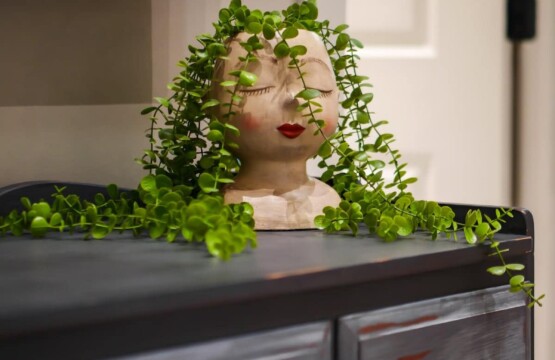 d908996c 9bb0 48 Jzk2