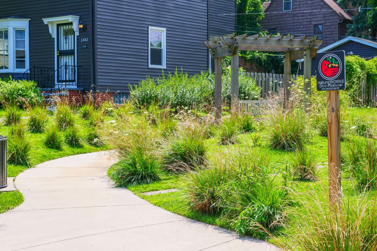 e14e7b4b b547 43 mAvbn