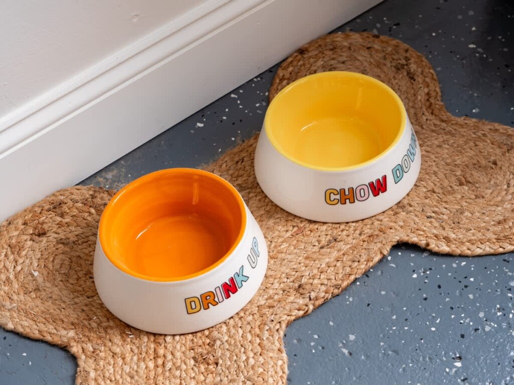 e3e0a748 faab 42 dk6fp