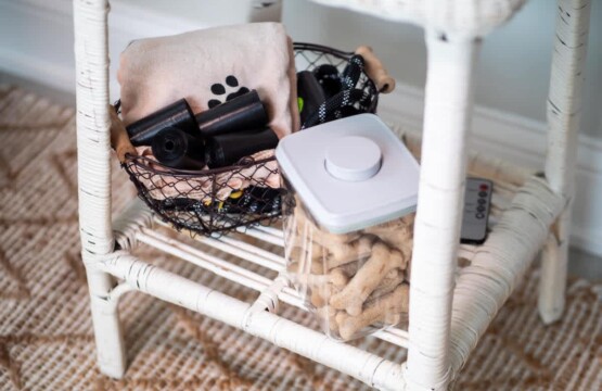 edac1168 da2e 46 Apf6Z