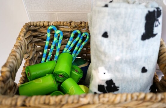 fc346f93 e589 4d csMlw