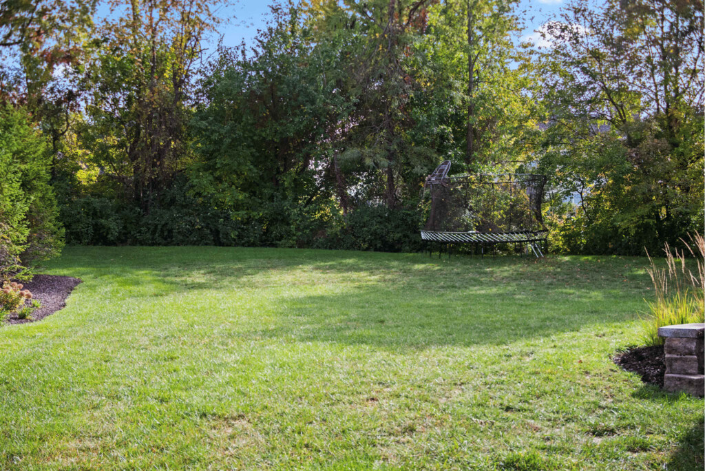 rgxjbcktfp9vv1wvafcb